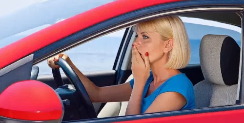 vjditeli_noviciok.ladydriver.md vjditeli_noviciok.ladydriver.md