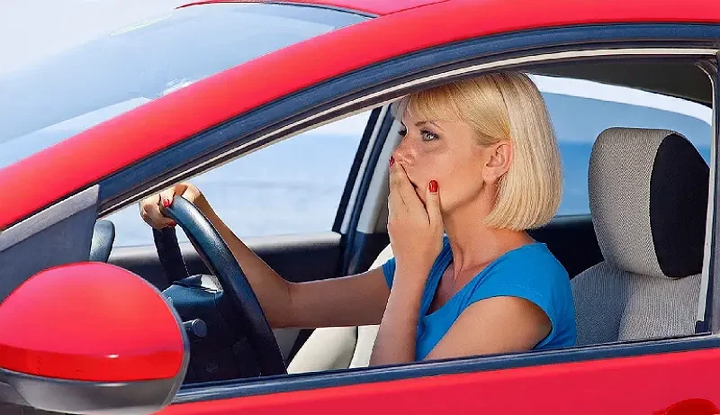 vjditeli_noviciok.ladydriver.md